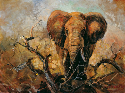21% OFF on African Safari Canvas Art 21% OFF on African Safari Canvas Art