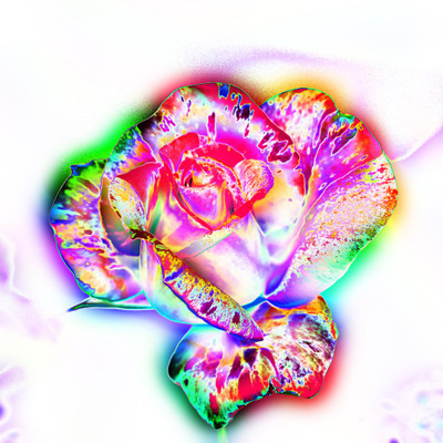 50% OFF on Colourful Flowers 77 Canvas Art