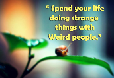 55% OFF on Spend Your Life Quote Paper Print