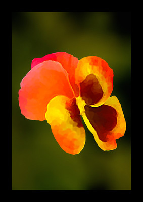 50% OFF on Orange and Paper Print 50% OFF on Orange and Paper Print