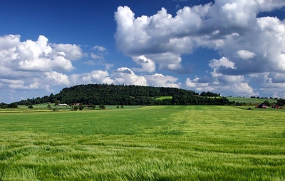 16% OFF on Pleasing Nature Poster Paper Print