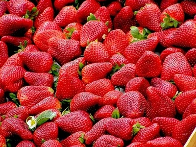 16% OFF on Delicious Strawberry Poster Paper Print 16% OFF on Delicious Strawberry Poster Paper Print