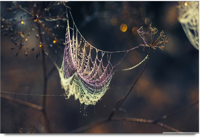 75% OFF on Fantasy Art 16 Paper Print 75% OFF on Fantasy Art 16 Paper Print