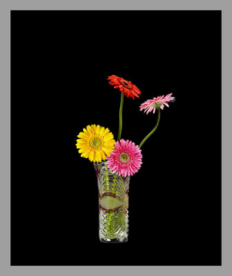 50% OFF on Gerbera in Paper Print 50% OFF on Gerbera in Paper Print
