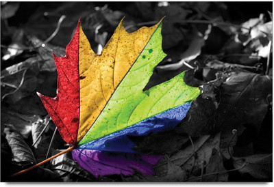 75% OFF on Colorful Leaf Paper Print 75% OFF on Colorful Leaf Paper Print