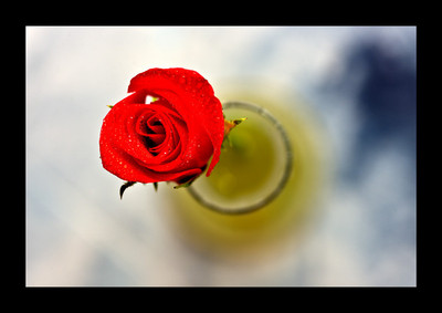 50% OFF on Rose close-up Paper Print