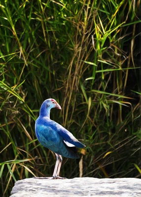 50% OFF on Beauty in Paper Print