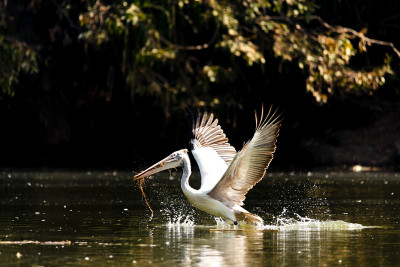 50% OFF on Its for Canvas Art