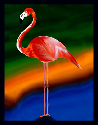 50% OFF on Flamingo 04 Paper Print