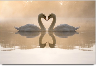 75% OFF on Amy Swan Love Heart 3D Poster