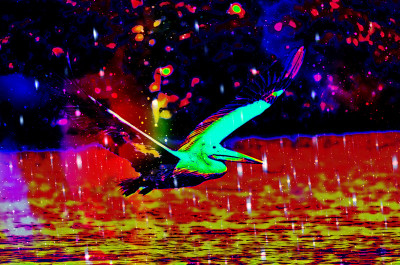 50% OFF on Pelican 07 , Canvas Art