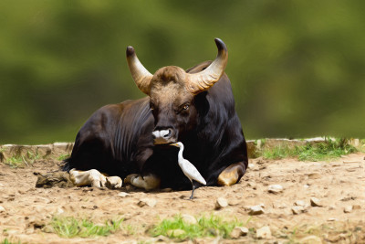 50% OFF on My world Paper Print 50% OFF on My world Paper Print