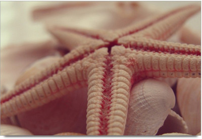 34% OFF on Amy Shining Lights Wooden Guitar Paper Print 34% OFF on Amy Shining Lights Wooden Guitar Paper Print