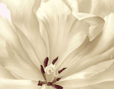 77% OFF on Painting Without Frame - White Flower Canvas Art