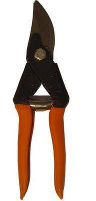 25% OFF on SGS Secateurs Classic Bypass Pruner Manual 25% OFF on SGS Secateurs Classic Bypass Pruner Manual