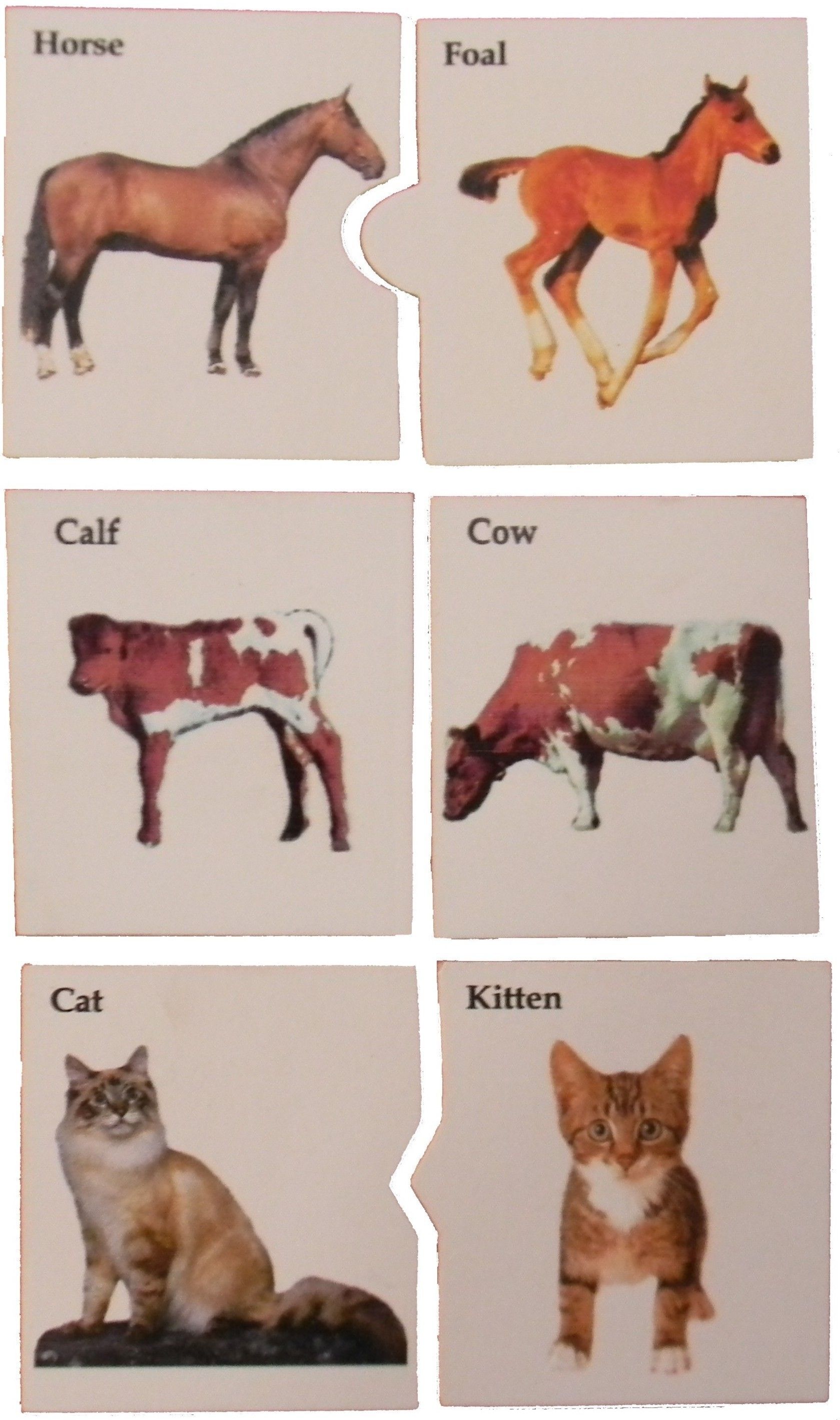 11% OFF on Kido Animals & Babies 11% OFF on Kido Animals & Babies