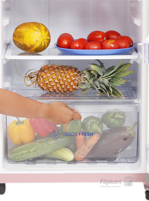 Whirlpool 185 L Direct Cool Single Door Refrigerator (200 GENIUS CLS PLUS 3S, Blush Exotica) 