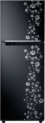 Samsung RT27JARMABX/TL 253 L Double Door Refrigerator Orcherry Pearl Black