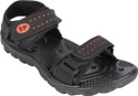 16% OFF on SP Sandals 16% OFF on SP Sandals