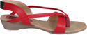 50% OFF on Port Wedges 50% OFF on Port Wedges