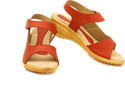30% OFF on Canvera Wedges