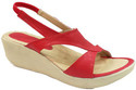 Bindass Wedges
