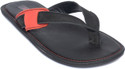 50% OFF on Kamil Black Sandals 50% OFF on Kamil Black Sandals