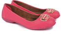 50% OFF on Urban Woods Red Bellies 50% OFF on Urban Woods Red Bellies