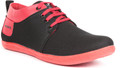 Golden Sparrow Trendy Casual Shoes Golden Sparrow Trendy Casual Shoes
