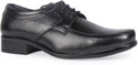 50% OFF on Leather King Ben Black Lace Up 50% OFF on Leather King Ben Black Lace Up