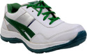 Jolly Jolla Winger Cricket Shoes
