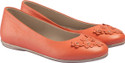 50% OFF on VAPH Mia Bellies 50% OFF on VAPH Mia Bellies