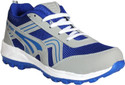 50% OFF on Jollify Spunk Cricket Shoes 50% OFF on Jollify Spunk Cricket Shoes