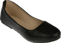 51% OFF on Zachho HC82-BLACK Bellies 51% OFF on Zachho HC82-BLACK Bellies