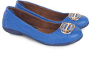 50% OFF on Urban Woods Blue Bellies 50% OFF on Urban Woods Blue Bellies