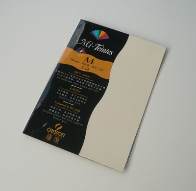 Canson Mi-Teintes A4 Colour Sheets 160gsm - Pale Yellow 101 Sketch Pad (Pale Yellow, 5 Sheets)