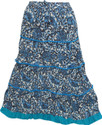 Indiatrendzs Printed Women's A-line Blue Skirt