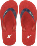 Sparx Slippers Sparx Slippers