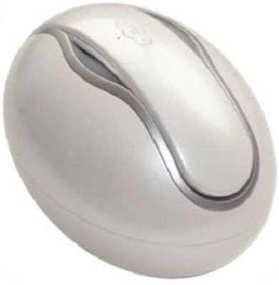 Corseca Oval Bluetooth Speaker Portable Bluetooth Mobile/Tablet Speaker (Silver, 1.0 Channel) 