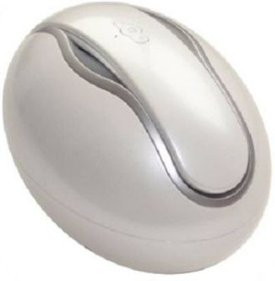 Corseca Oval Bluetooth Speaker Portable Bluetooth Mobile/Tablet Speaker (Silver, 1.0 Channel) 