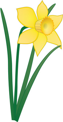 16% OFF on Beautiful Yellow Flower With Green Leaf Poster Paper Print 16% OFF on Beautiful Yellow Flower With Green Leaf Poster Paper Print