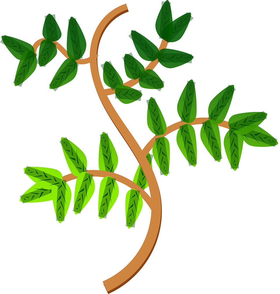 16% OFF on Sweet Plant With Leaves Poster Paper Print 16% OFF on Sweet Plant With Leaves Poster Paper Print