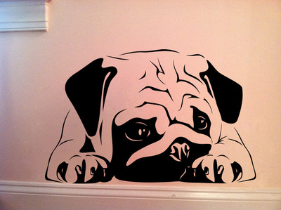 69% OFF on D��cor Kafe Decal Style Chinese Pug Wall Sticker Large Size-26*17 Inch Wall Sticker Sticker Pack of 1 69% OFF on D��cor Kafe Decal Style Chinese Pug Wall Sticker Large Size-26*17 Inch Wall Sticker Sticker Pack of 1
