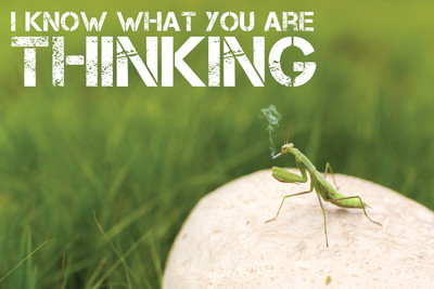 16% OFF on I Know What You Are Thinking Poster Paper Print 16% OFF on I Know What You Are Thinking Poster Paper Print