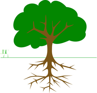 16% OFF on Green Tree Poster With Roots Paper Print 16% OFF on Green Tree Poster With Roots Paper Print