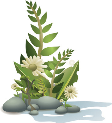 16% OFF on Artistic Flower And Leaves On Stone Poster Paper Print 16% OFF on Artistic Flower And Leaves On Stone Poster Paper Print