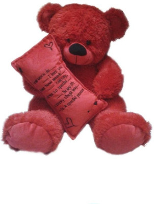 29% OFF on MFT Greeting pillow Teddy tambeushe - 26 inch