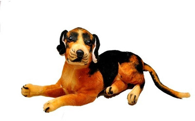 44% OFF on HomeZaara IOMST030 - 8 inch 44% OFF on HomeZaara IOMST030 - 8 inch