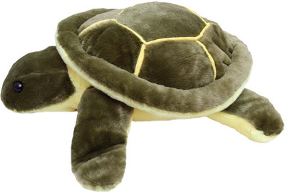 65% OFF on Gallibazaar Cute Tortise Toy - 12 inch 65% OFF on Gallibazaar Cute Tortise Toy - 12 inch