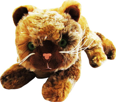 16% OFF on Play N Pets Soft Cat - 35 cm 16% OFF on Play N Pets Soft Cat - 35 cm
